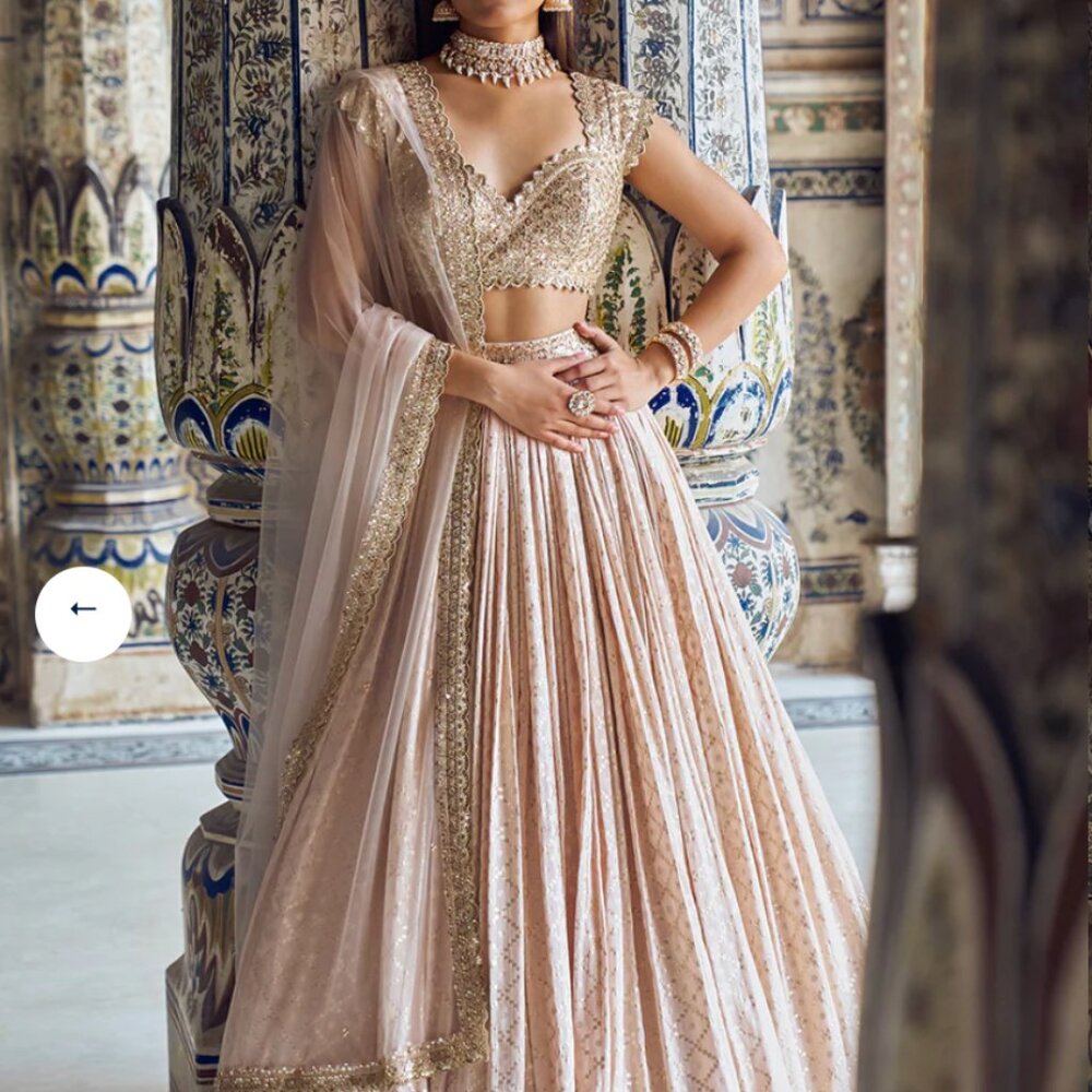 [NEW] Lashkaraa Nude and Gold Embroidered Lehenga XS